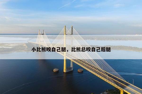 小比熊咬自己腿，比熊总咬自己后腿