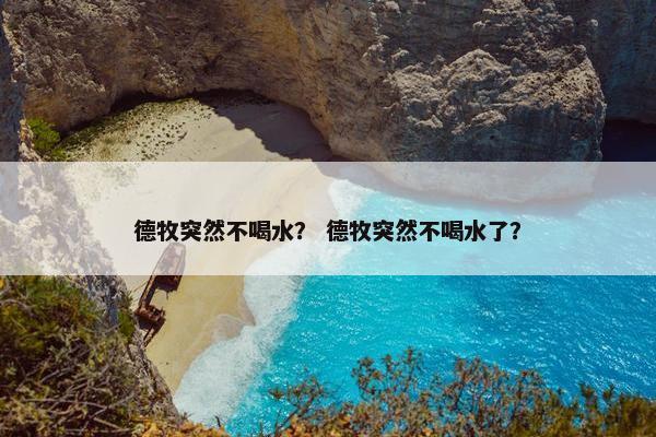 德牧突然不喝水？ 德牧突然不喝水了？