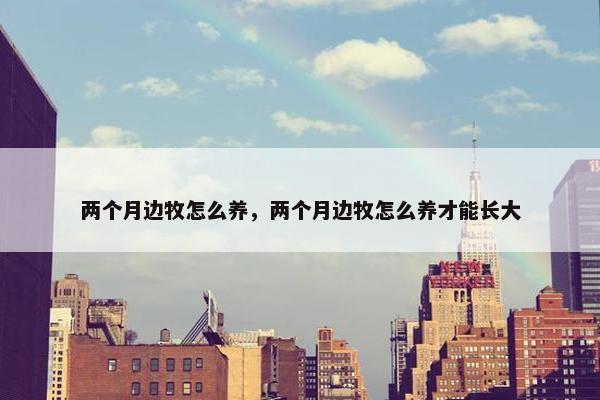 两个月边牧怎么养，两个月边牧怎么养才能长大