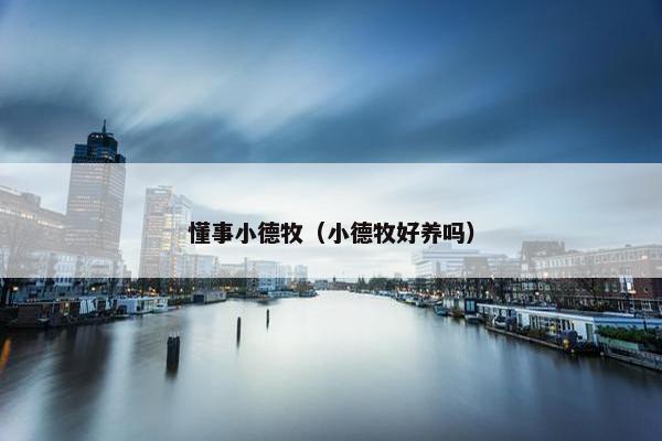 懂事小德牧（小德牧好养吗）
