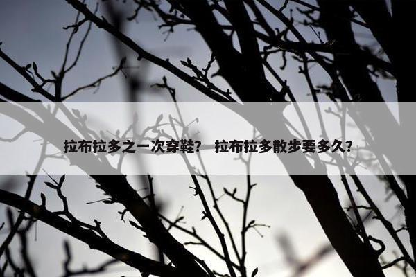 拉布拉多之一次穿鞋？ 拉布拉多散步要多久？
