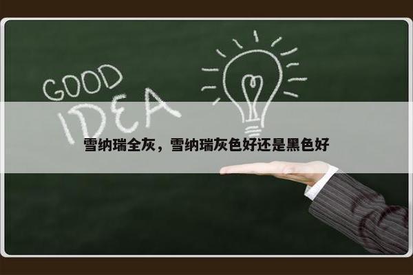 雪纳瑞全灰，雪纳瑞灰色好还是黑色好