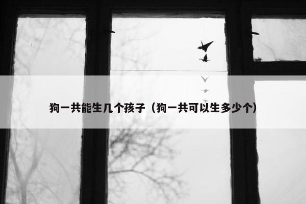 狗一共能生几个孩子（狗一共可以生多少个）
