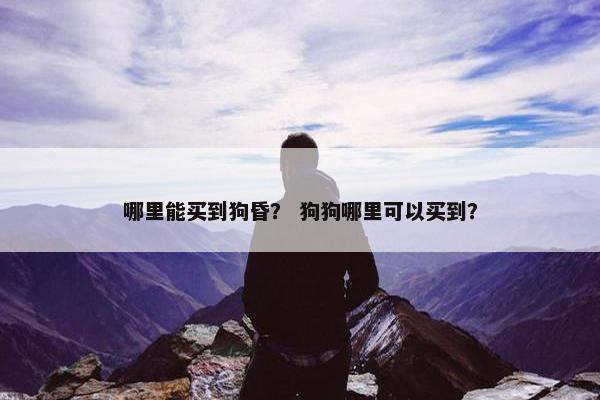 哪里能买到狗昏？ 狗狗哪里可以买到？