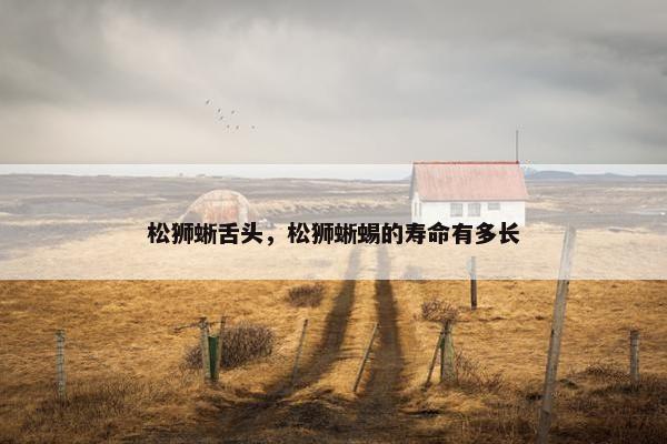 松狮蜥舌头，松狮蜥蜴的寿命有多长