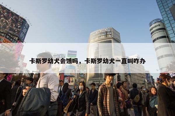 卡斯罗幼犬会饿吗，卡斯罗幼犬一直叫咋办