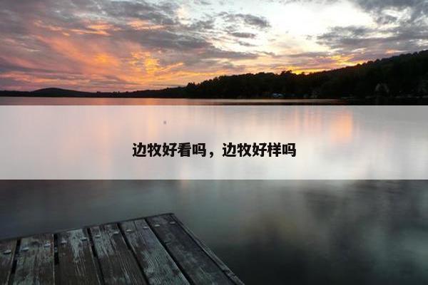 边牧好看吗，边牧好样吗