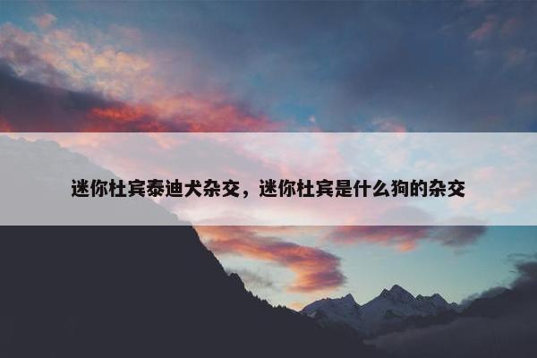 迷你杜宾泰迪犬杂交，迷你杜宾是什么狗的杂交