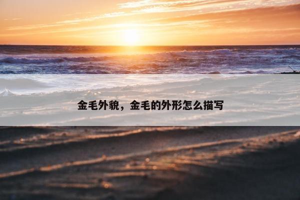 金毛外貌，金毛的外形怎么描写