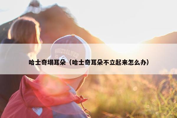 哈士奇塌耳朵（哈士奇耳朵不立起来怎么办）