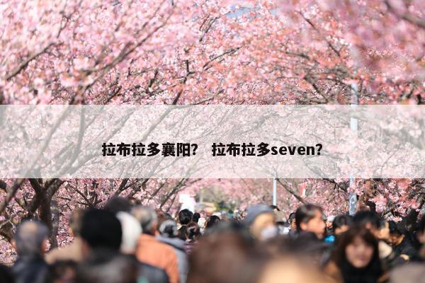 拉布拉多襄阳？ 拉布拉多seven？