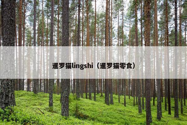 暹罗猫lingshi（暹罗猫零食）