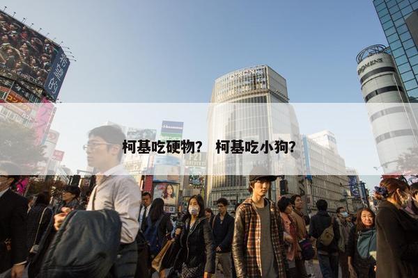 柯基吃硬物？ 柯基吃小狗？