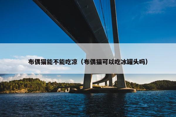 布偶猫能不能吃凉（布偶猫可以吃冰罐头吗）