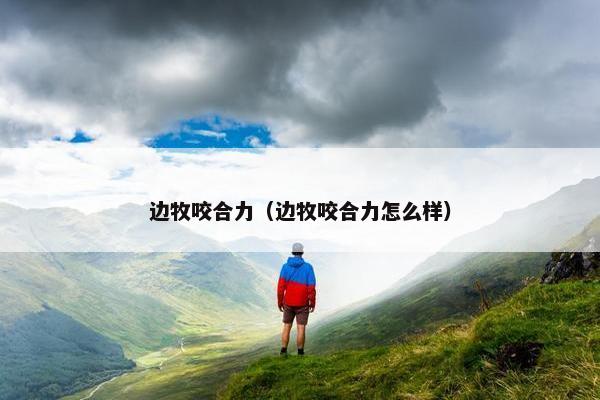 边牧咬合力（边牧咬合力怎么样）
