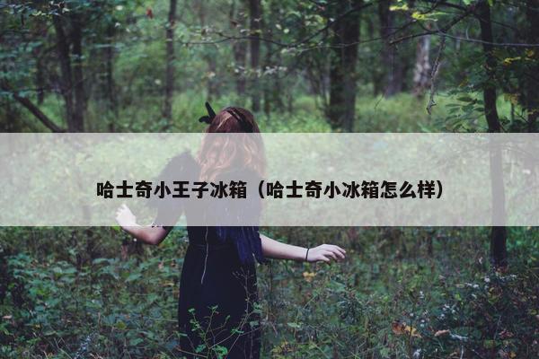 哈士奇小王子冰箱（哈士奇小冰箱怎么样）