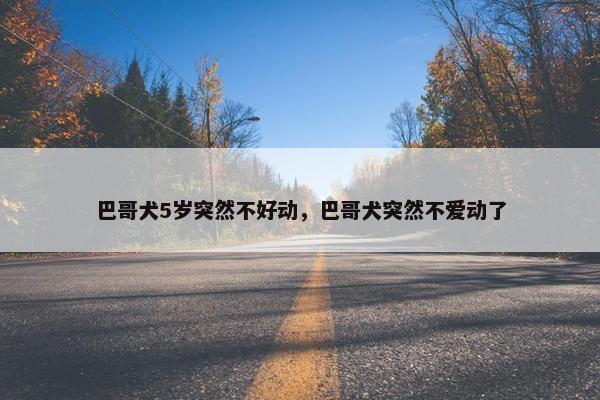 巴哥犬5岁突然不好动，巴哥犬突然不爱动了