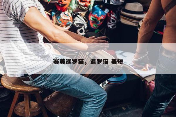 赛美暹罗猫，暹罗猫 美短