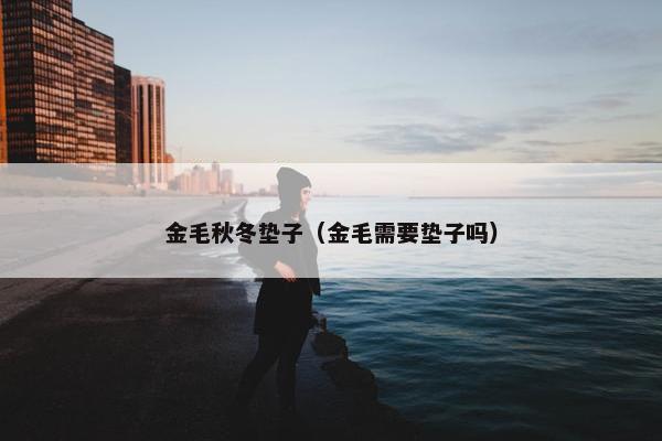 金毛秋冬垫子（金毛需要垫子吗）