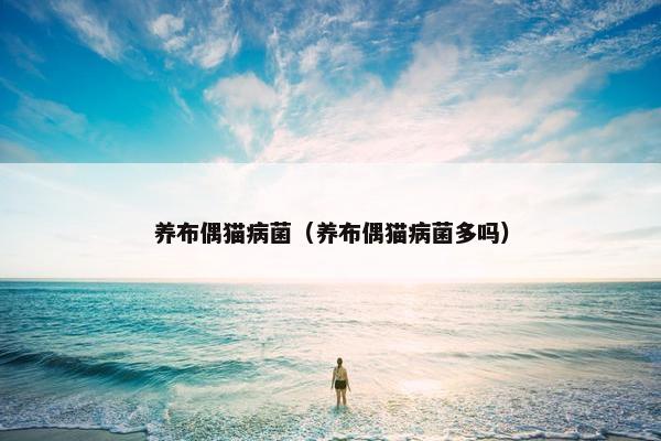 养布偶猫病菌（养布偶猫病菌多吗）