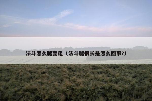 法斗怎么腿变粗（法斗腿很长是怎么回事?）