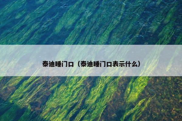 泰迪睡门口（泰迪睡门口表示什么）