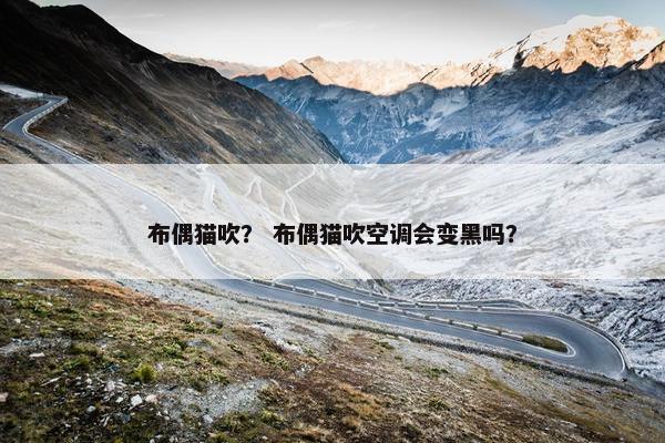 布偶猫吹？ 布偶猫吹空调会变黑吗？