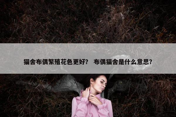 猫舍布偶繁殖花色更好？ 布偶猫舍是什么意思？
