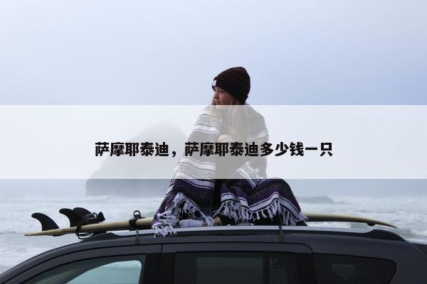 萨摩耶泰迪，萨摩耶泰迪多少钱一只
