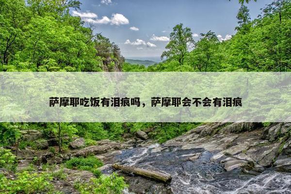 萨摩耶吃饭有泪痕吗，萨摩耶会不会有泪痕