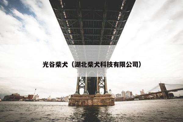 光谷柴犬（湖北柴犬科技有限公司）