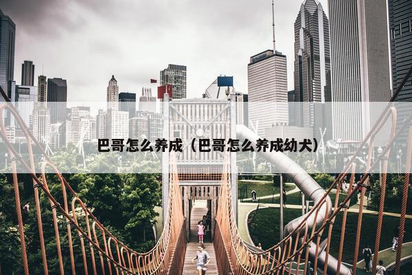 巴哥怎么养成（巴哥怎么养成幼犬）