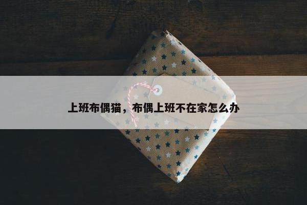 上班布偶猫，布偶上班不在家怎么办