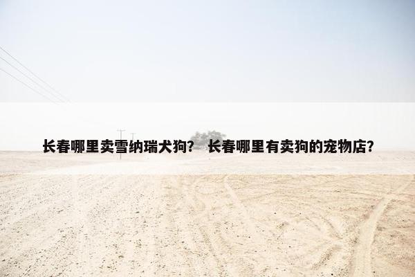 长春哪里卖雪纳瑞犬狗？ 长春哪里有卖狗的宠物店？