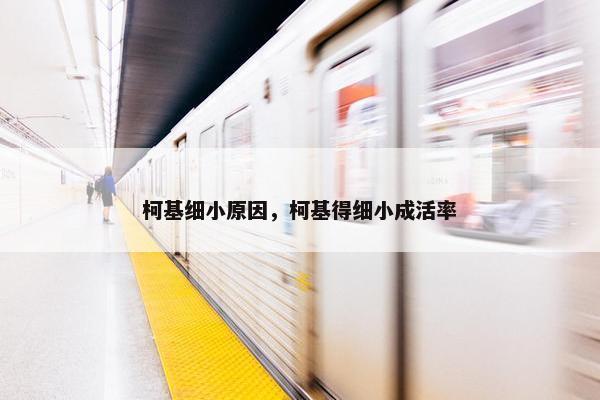 柯基细小原因，柯基得细小成活率