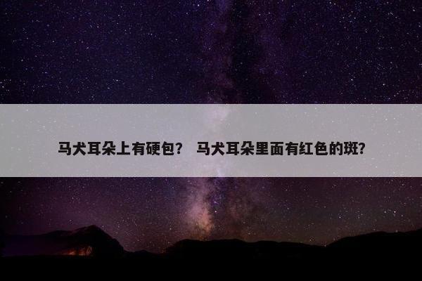 马犬耳朵上有硬包？ 马犬耳朵里面有红色的斑？
