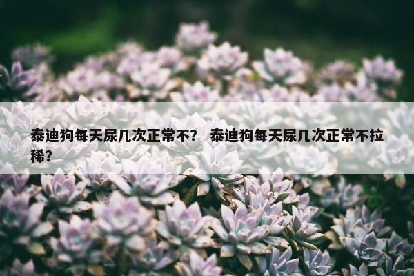 泰迪狗每天尿几次正常不？ 泰迪狗每天尿几次正常不拉稀？