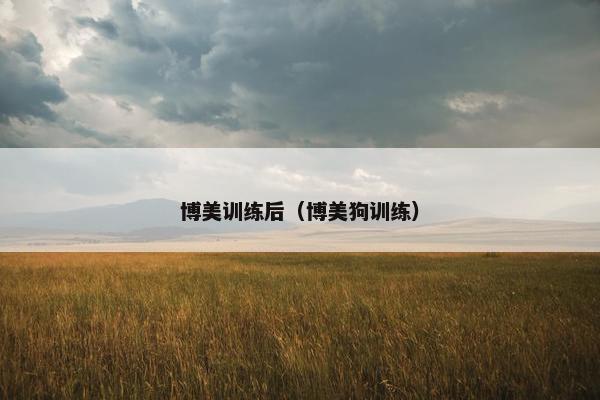 博美训练后（博美狗训练）