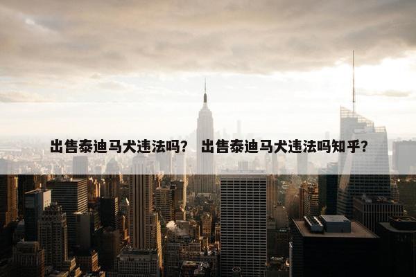出售泰迪马犬违法吗？ 出售泰迪马犬违法吗知乎？