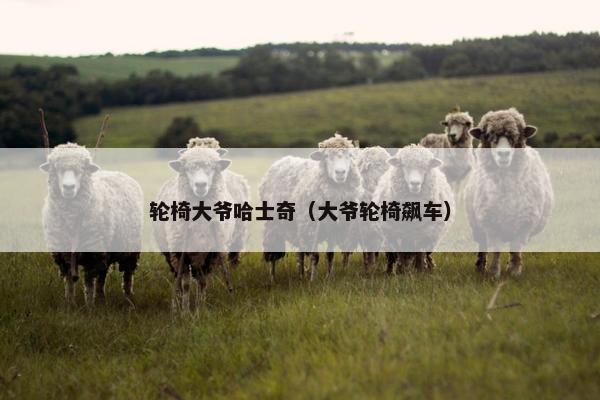 轮椅大爷哈士奇（大爷轮椅飙车）