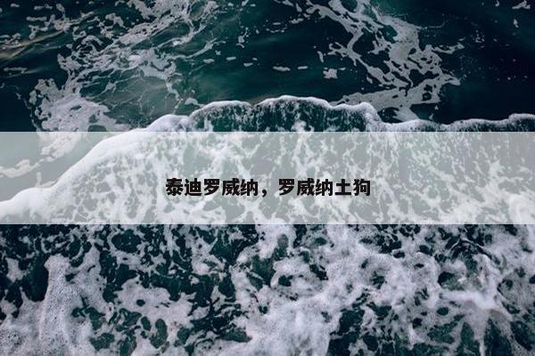 泰迪罗威纳，罗威纳土狗