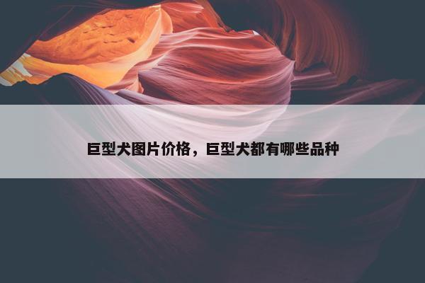巨型犬图片价格，巨型犬都有哪些品种