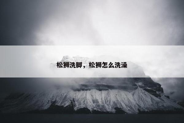 松狮洗脚，松狮怎么洗澡