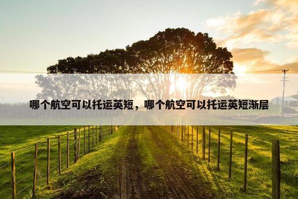 哪个航空可以托运英短，哪个航空可以托运英短渐层