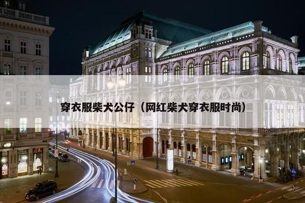 穿衣服柴犬公仔（网红柴犬穿衣服时尚）