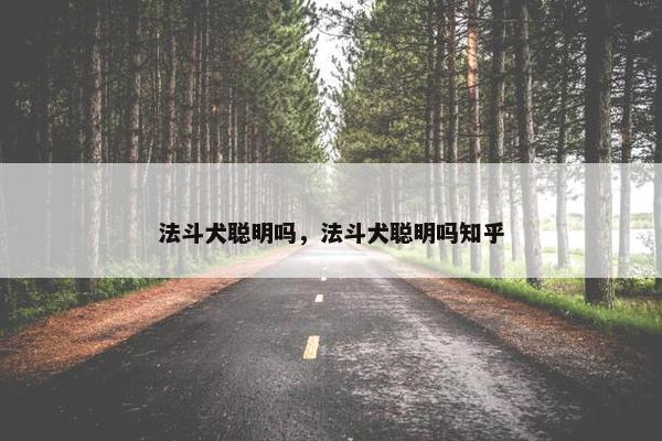 法斗犬聪明吗，法斗犬聪明吗知乎