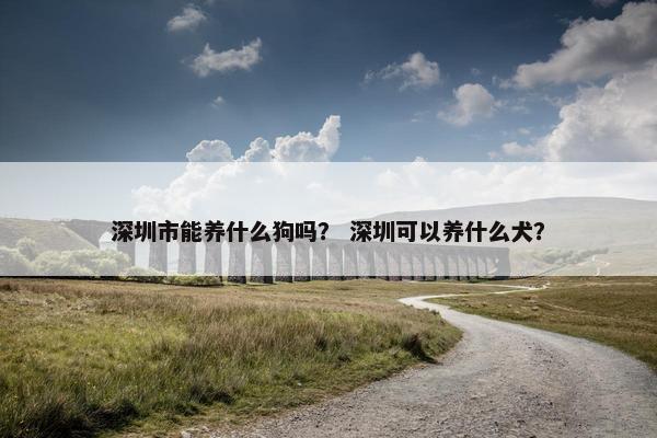 深圳市能养什么狗吗？ 深圳可以养什么犬？