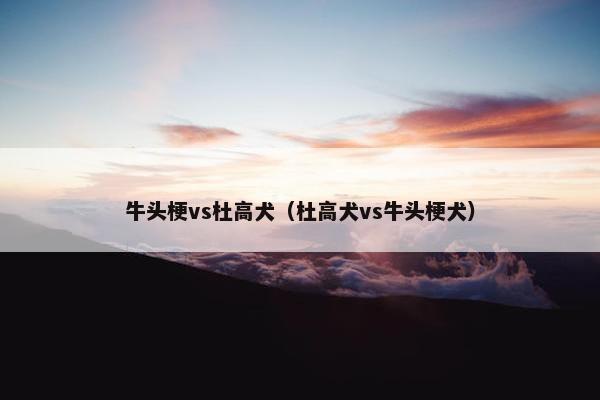 牛头梗vs杜高犬（杜高犬vs牛头梗犬）