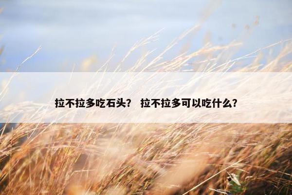 拉不拉多吃石头？ 拉不拉多可以吃什么？