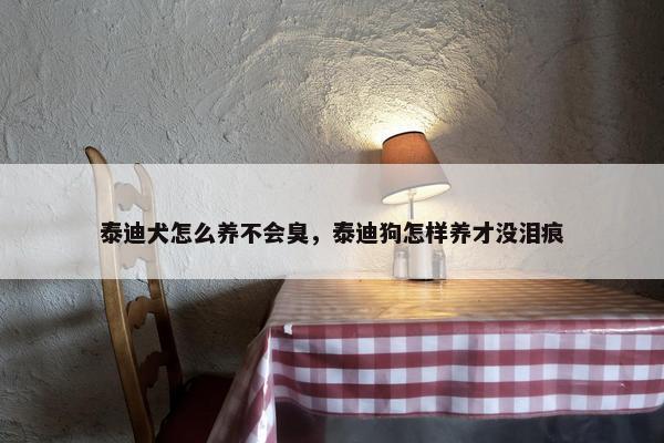 泰迪犬怎么养不会臭，泰迪狗怎样养才没泪痕